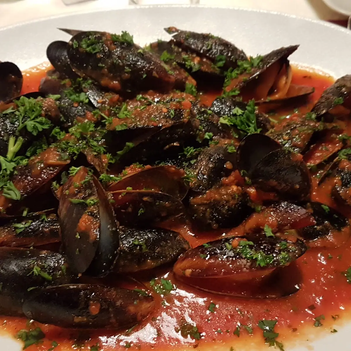 Cozze