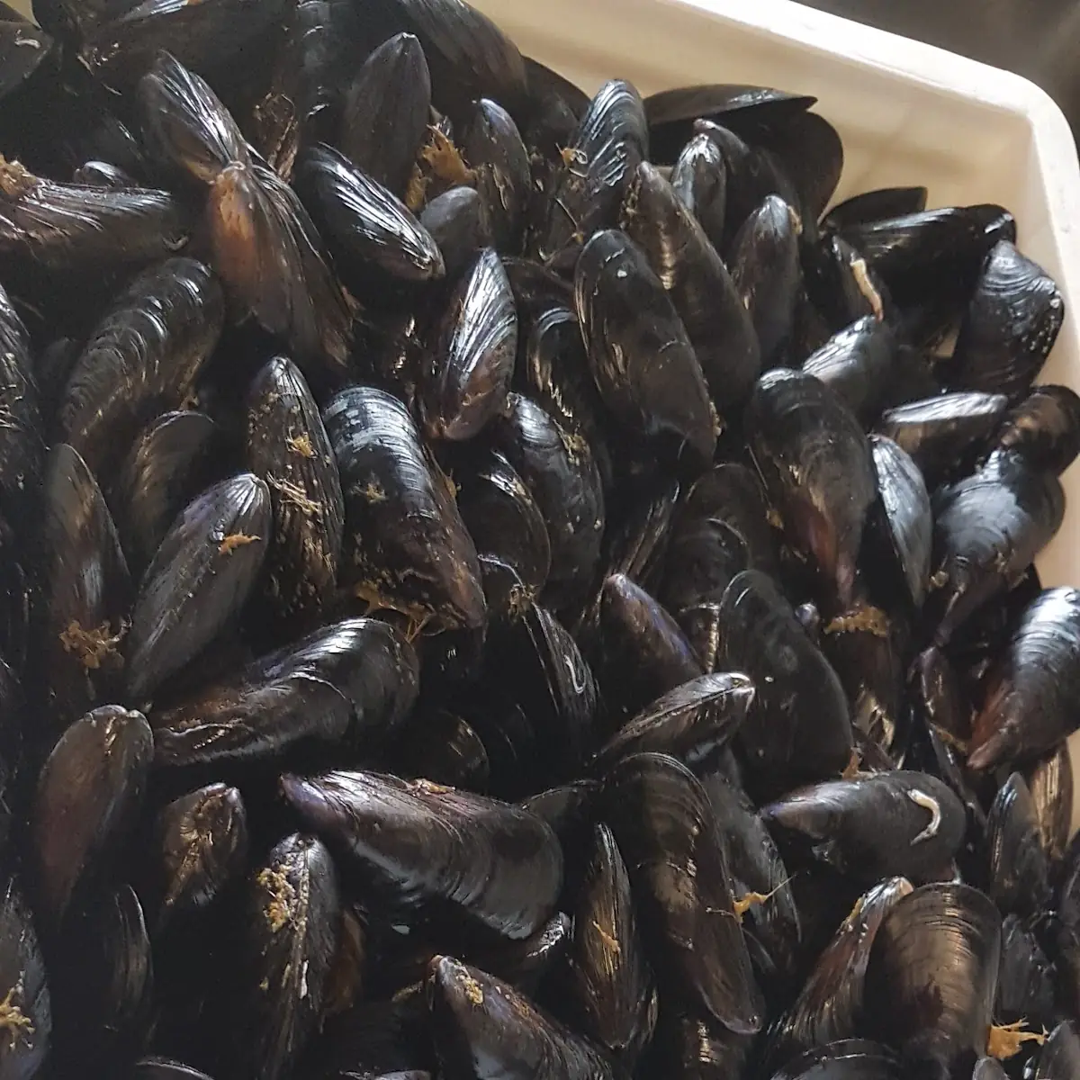 Cozze E Vongole