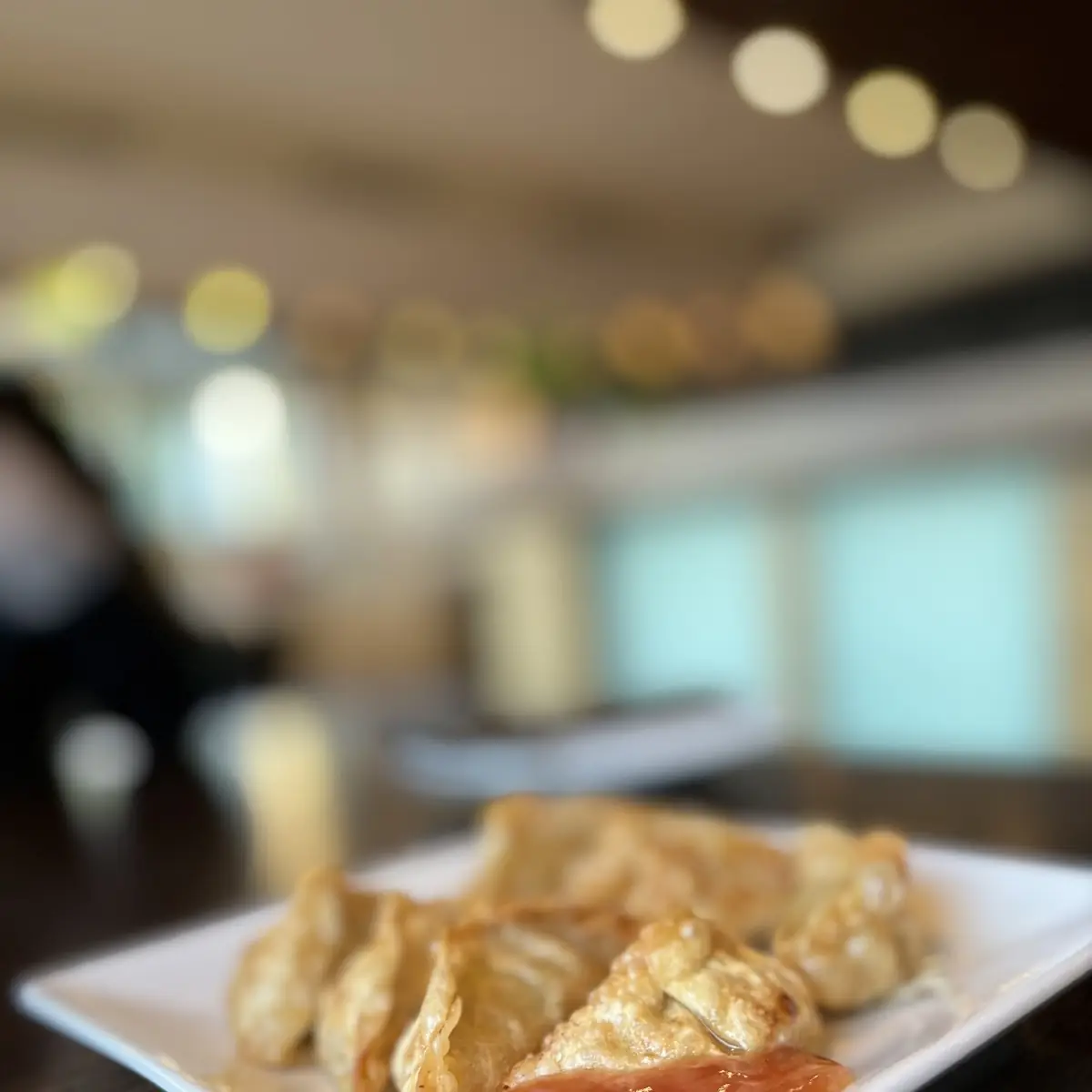 Gyoza Vegetarisch
