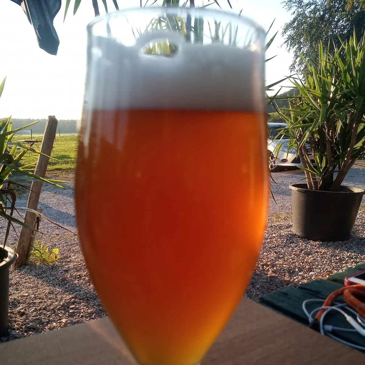 Heubier