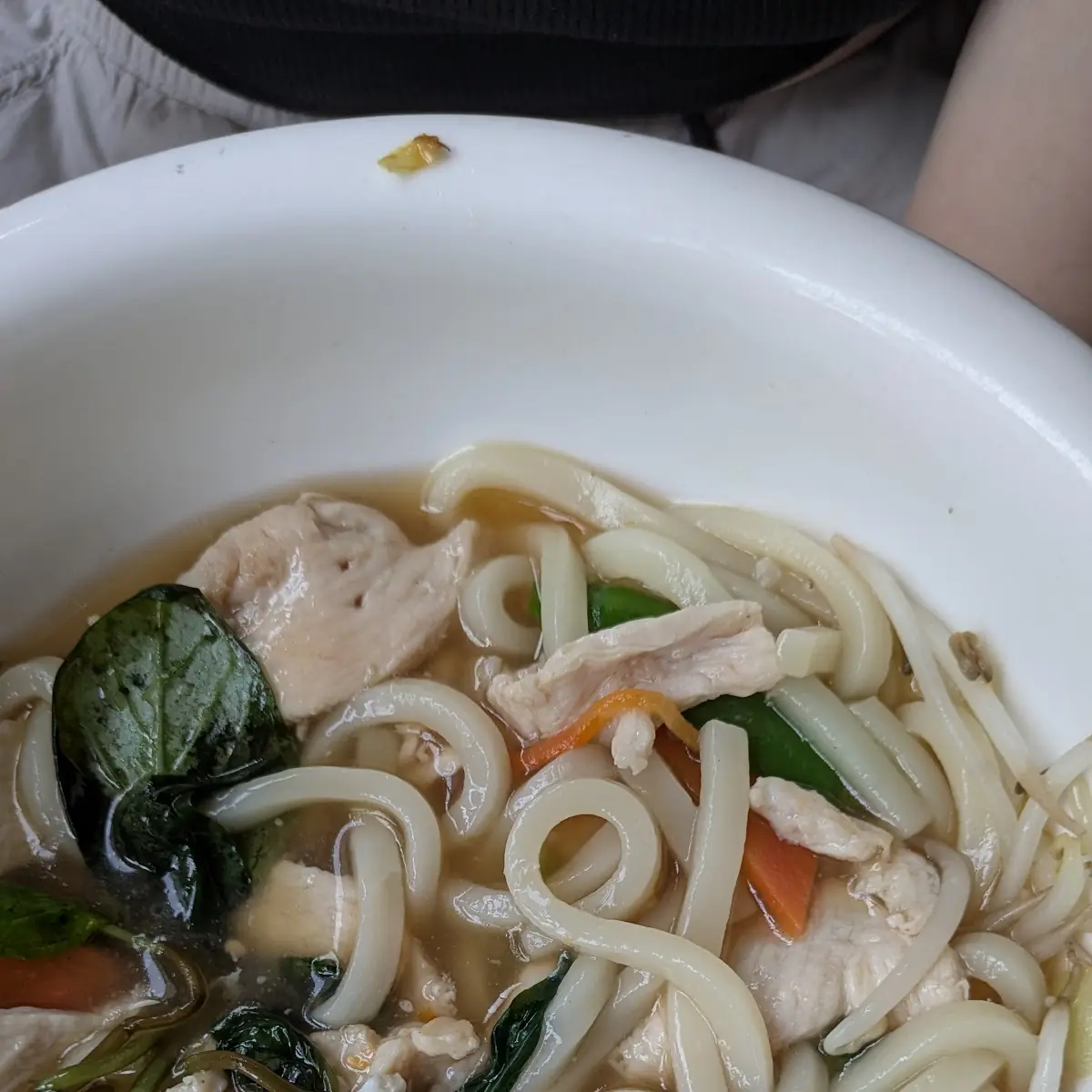 Udon Nudelsuppe