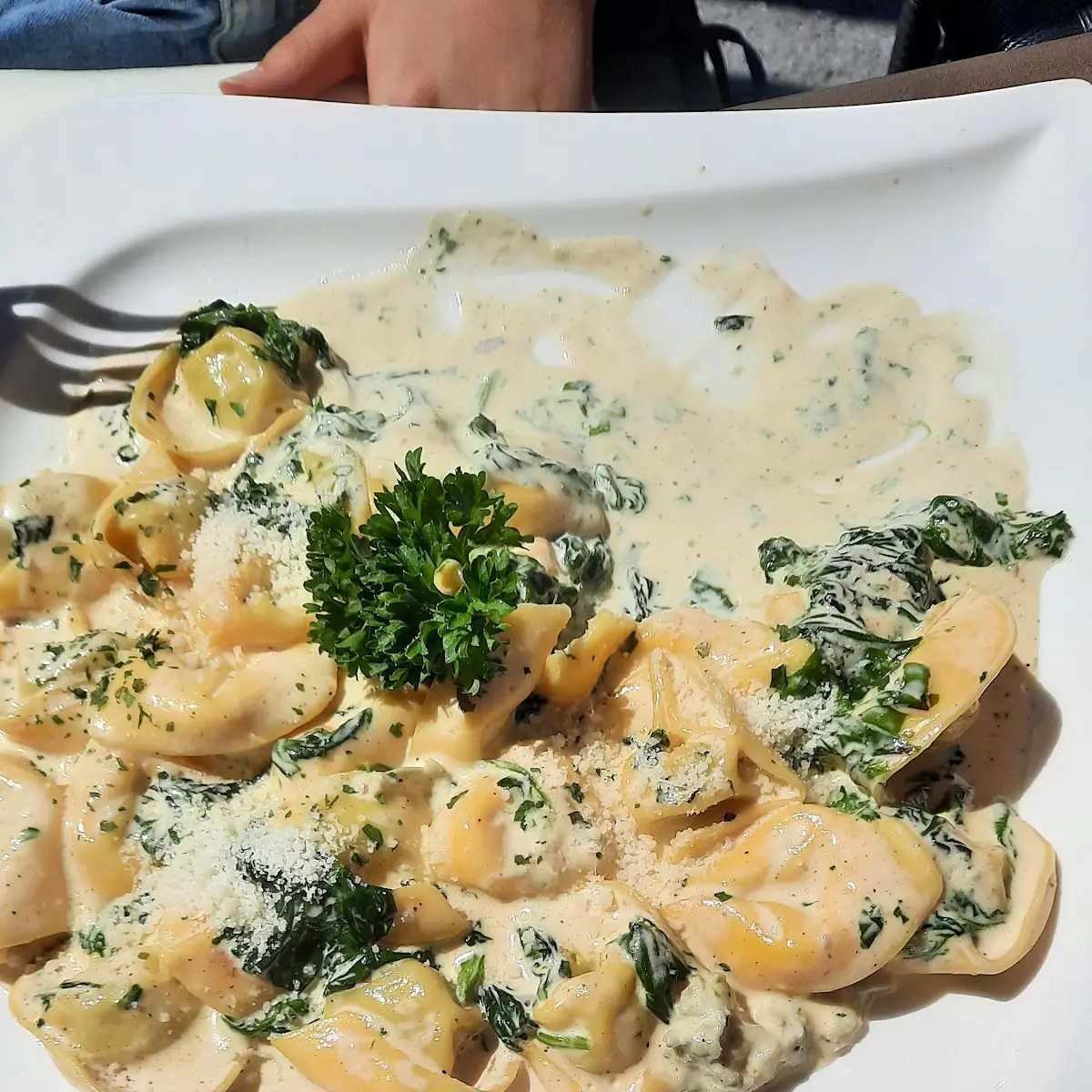 Tortellini A La Panna