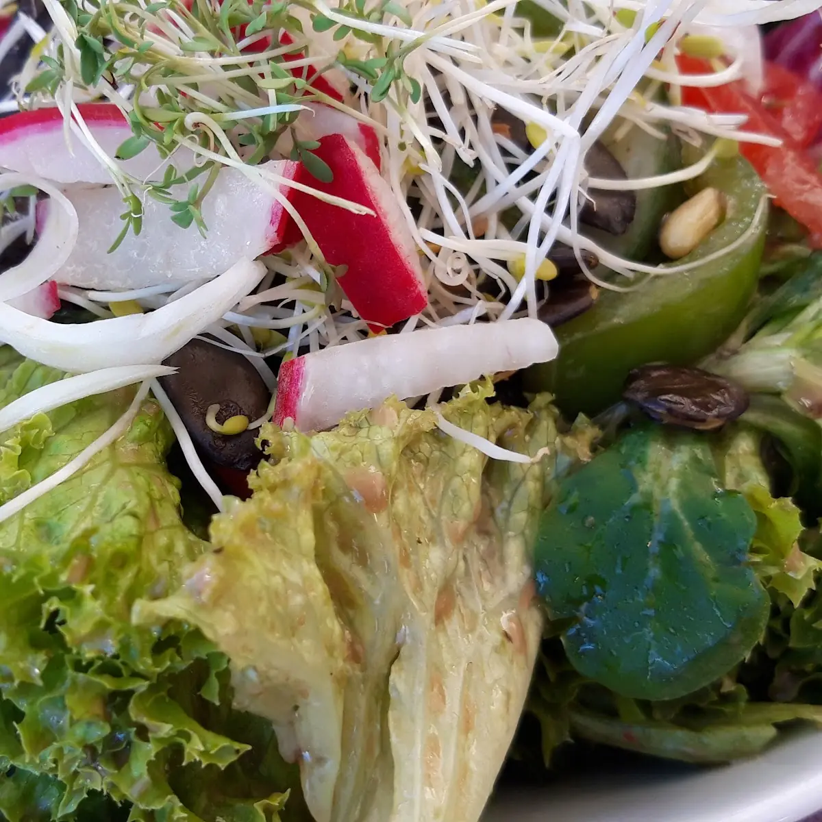 Gemischter Salat