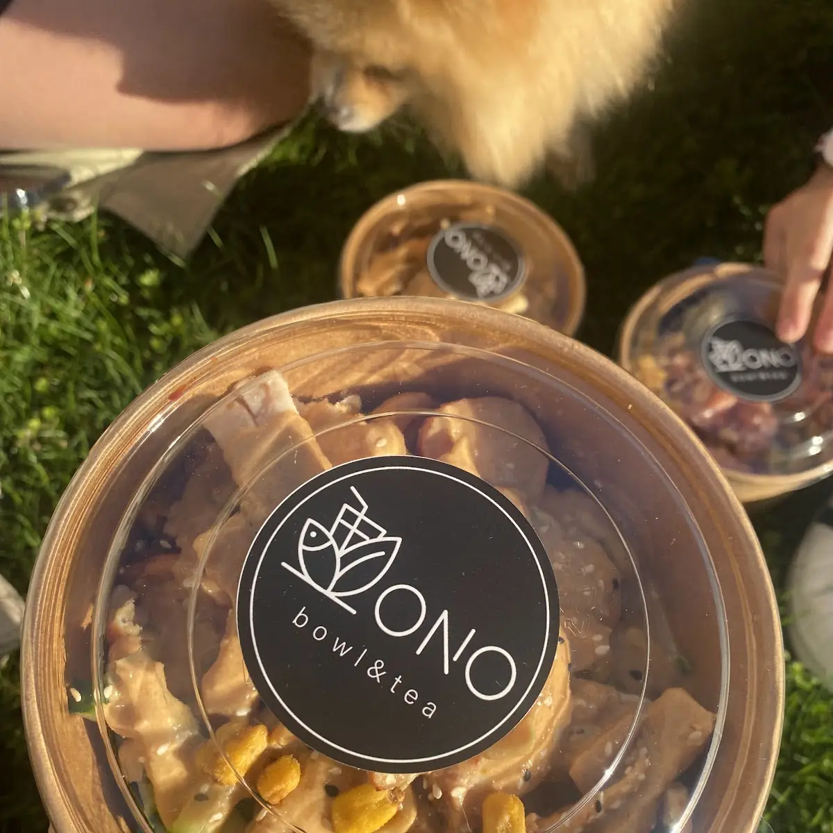 Chicken Bowl