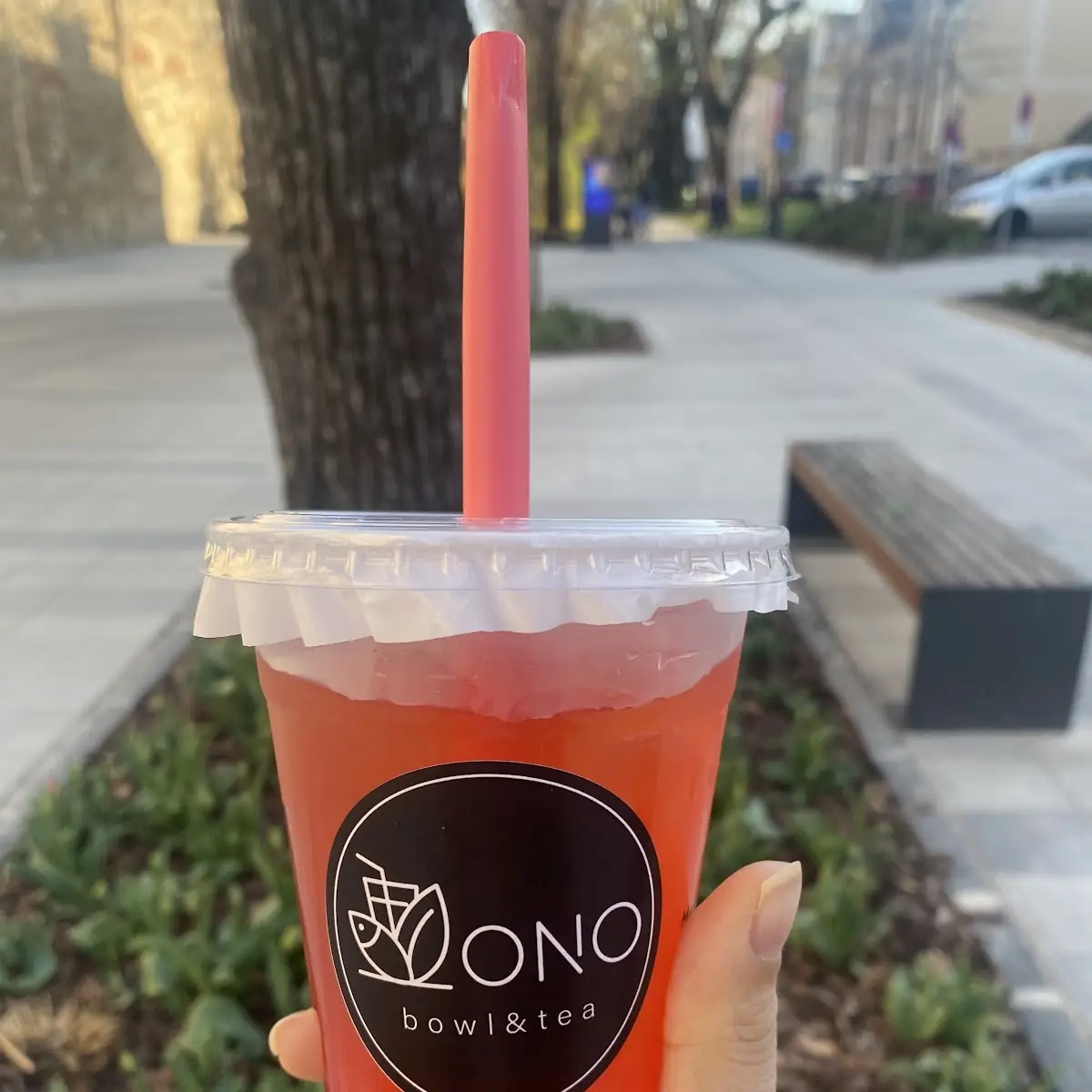Watermelon Strawberry Ice Tea