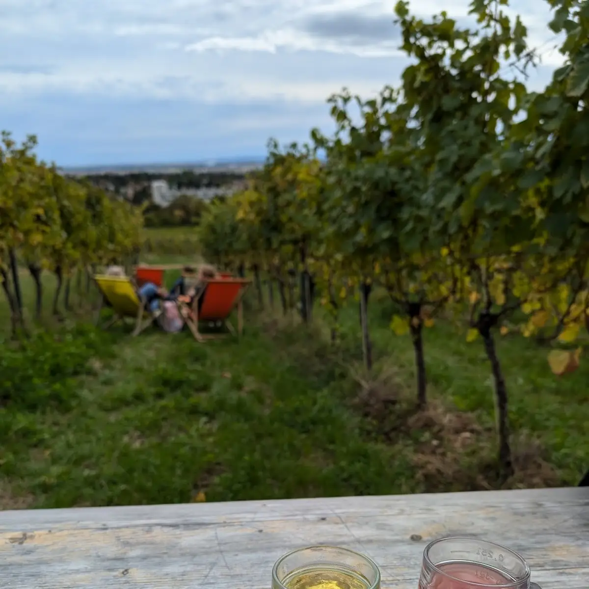 Heuriger Und Sturm Und Schöner Ausblick