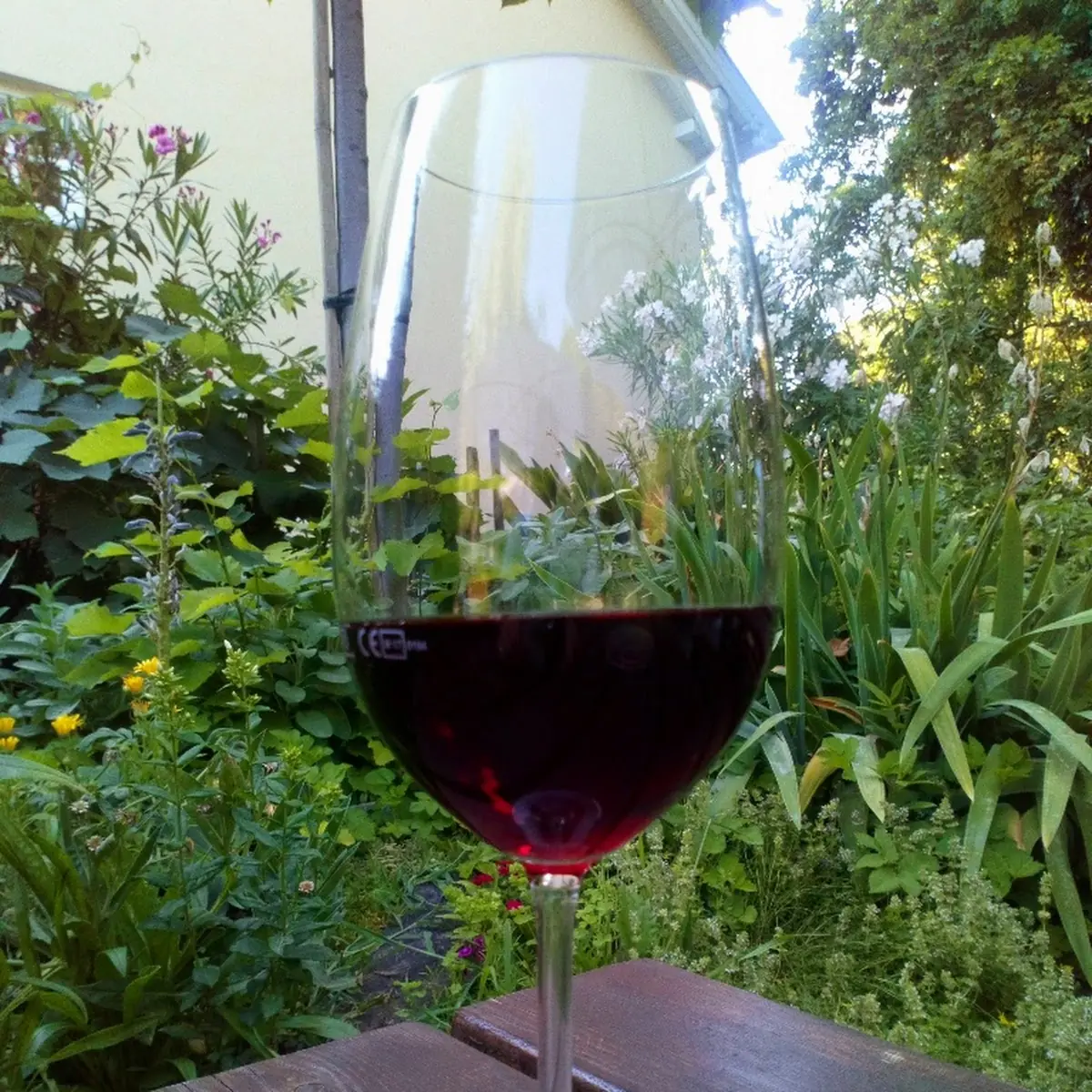 Zweigelt