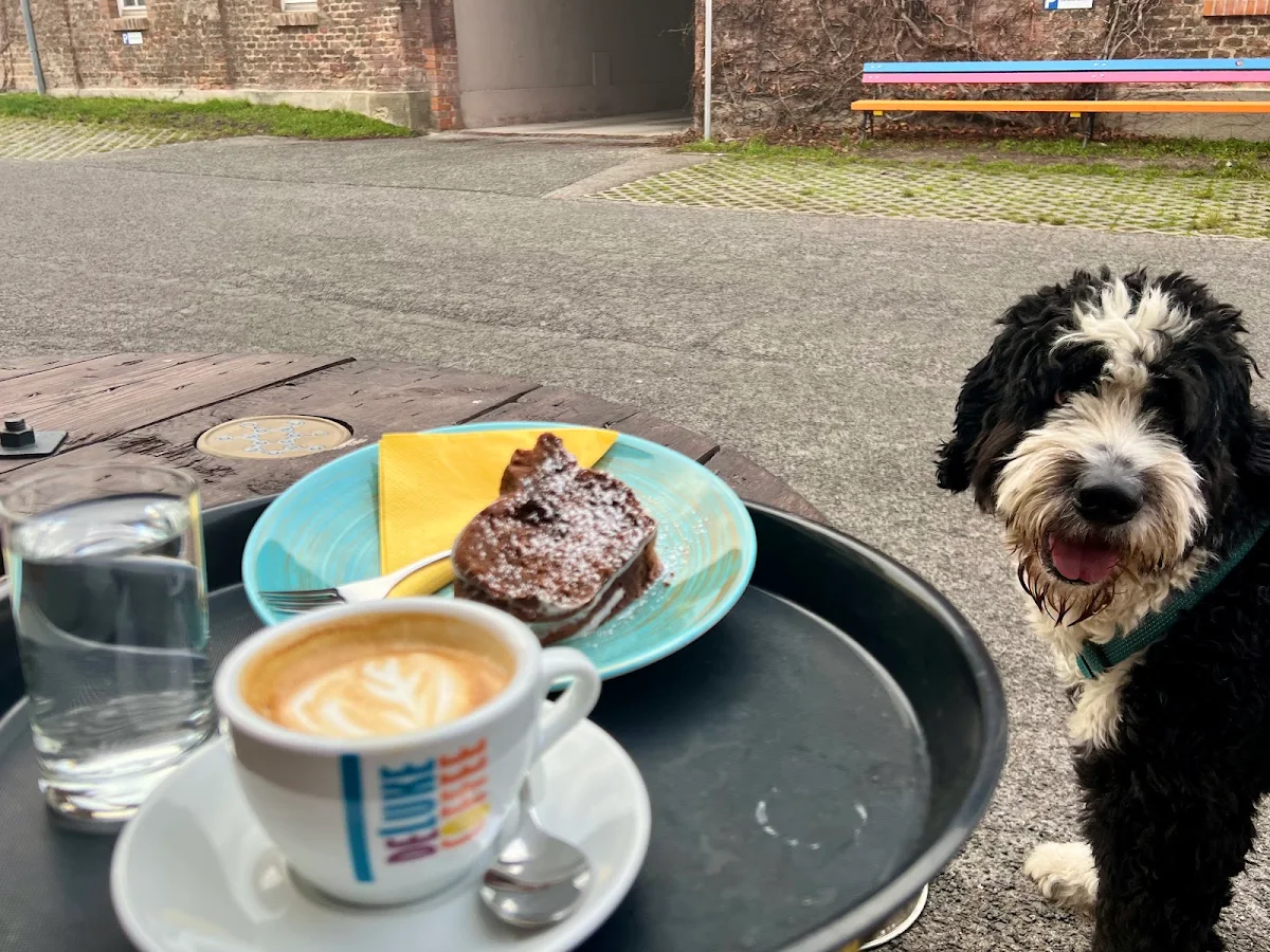 Von Mama Gebackene Kuchen
