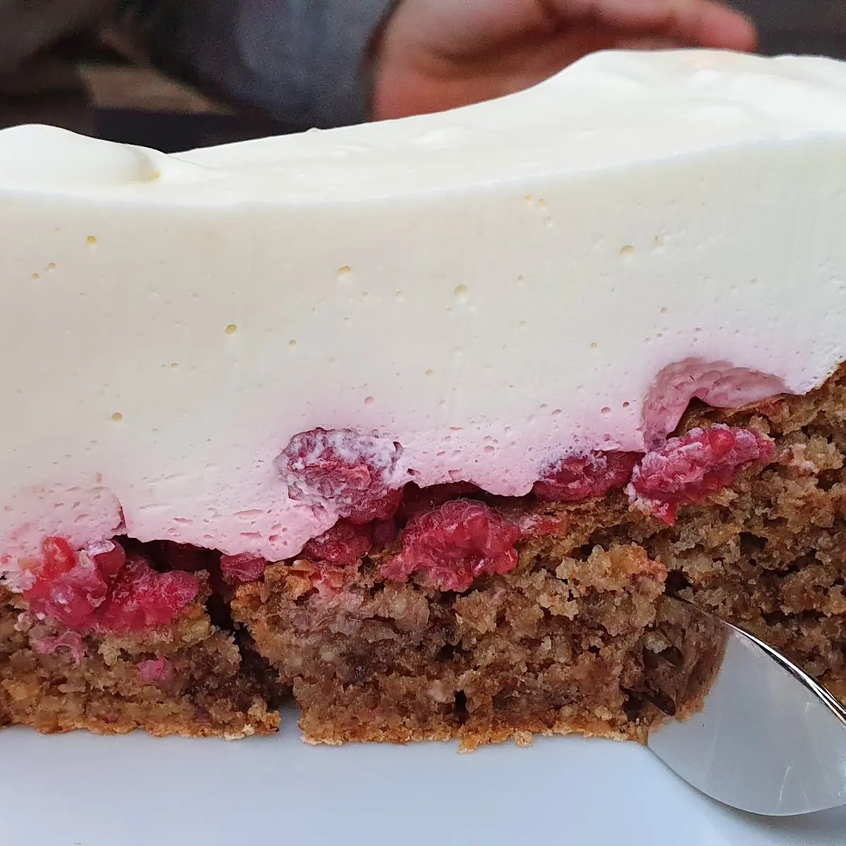 Jogurt Himbeer Nusstorte
