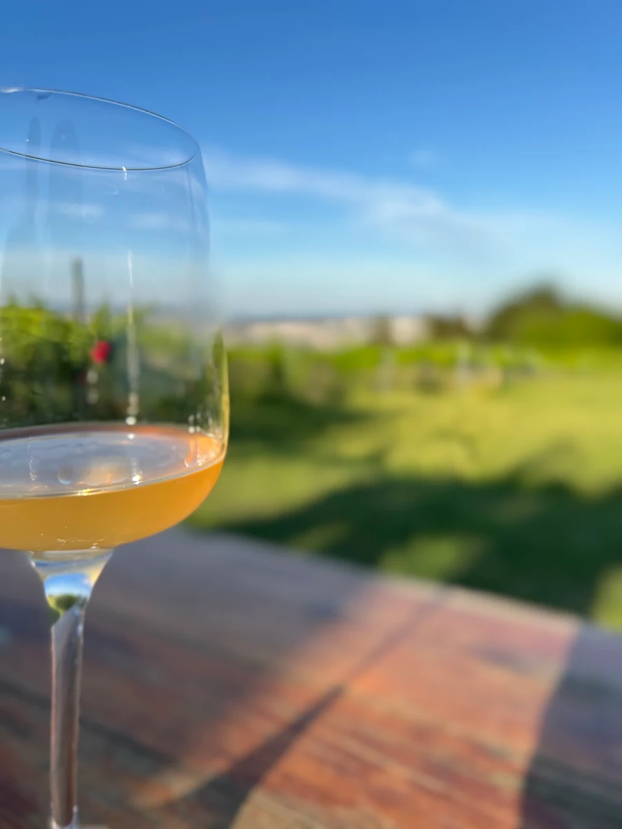 Traubensaft Und Gemischter Satz Weißwein