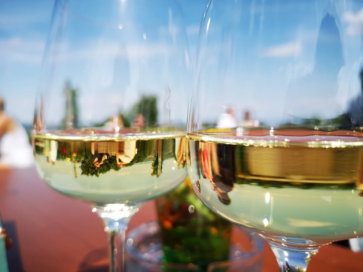 Wiener Grüner Veltliner 2018