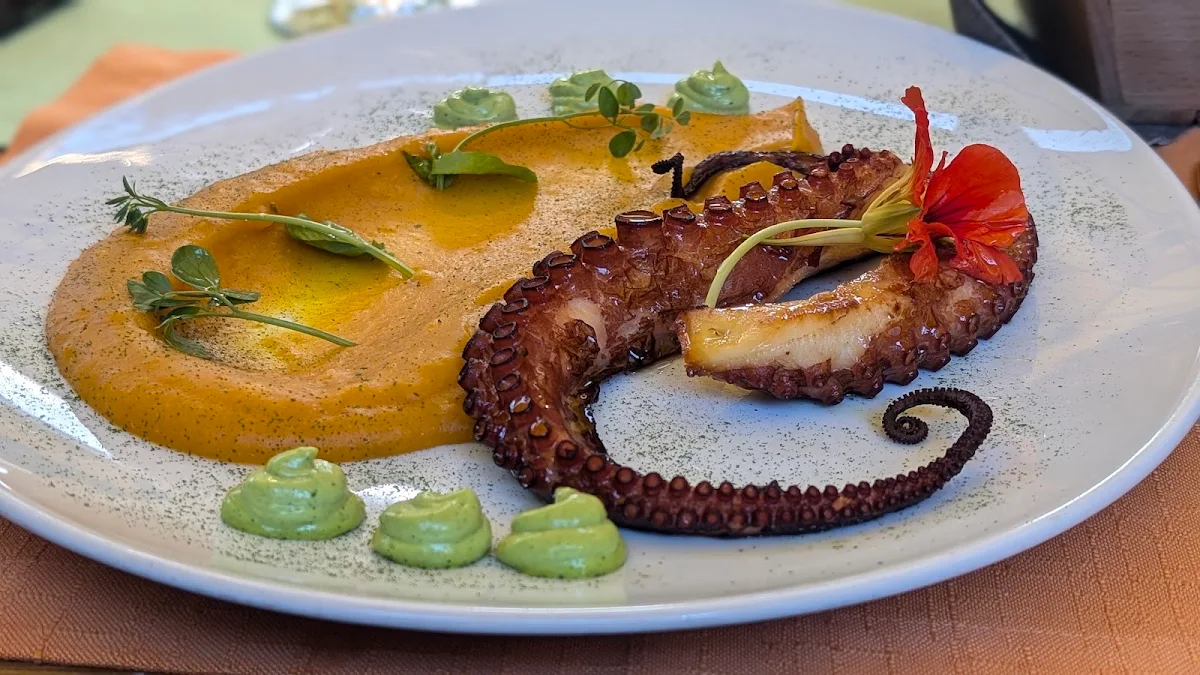 Grilled Octopus