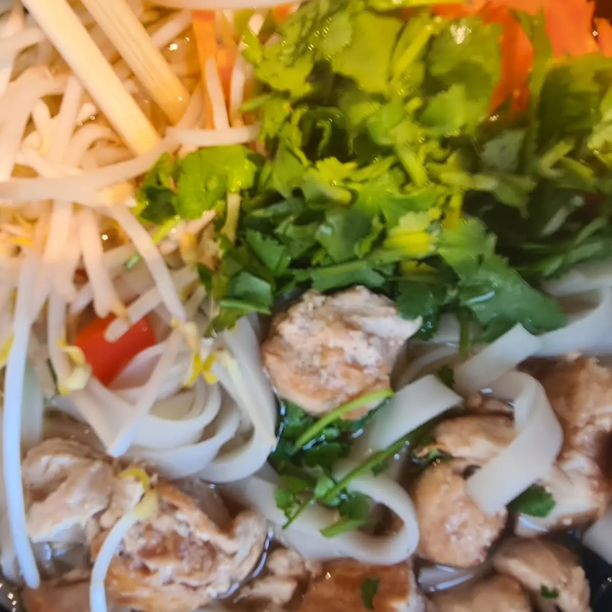 Rice Noodle
