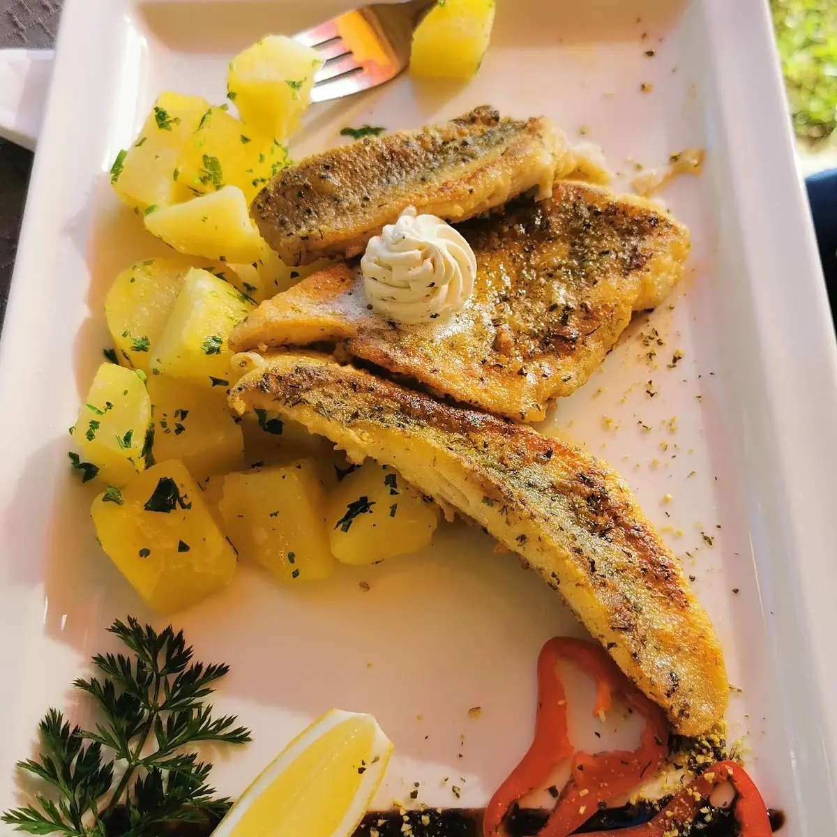 Zanderfilet