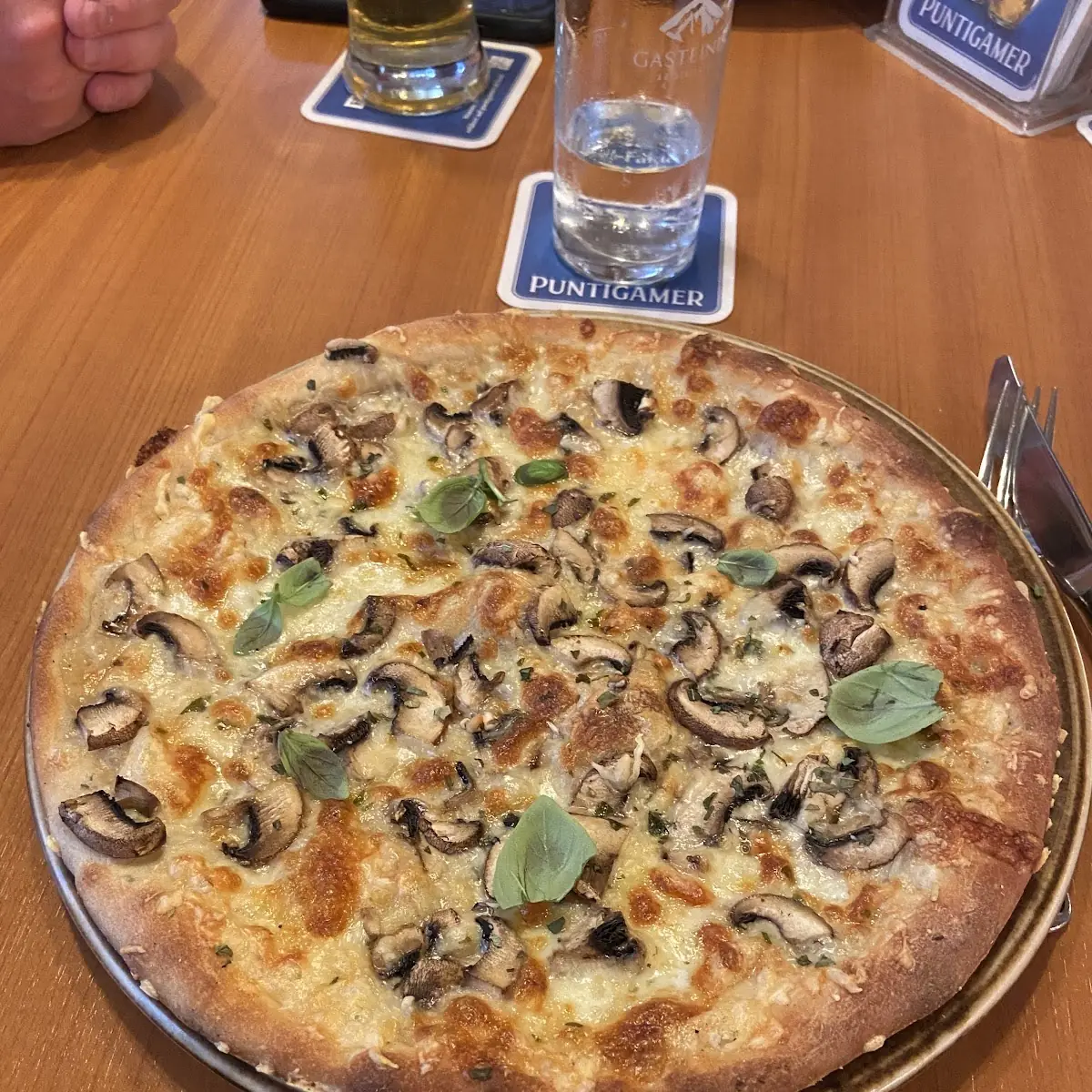 Pizza Fungi