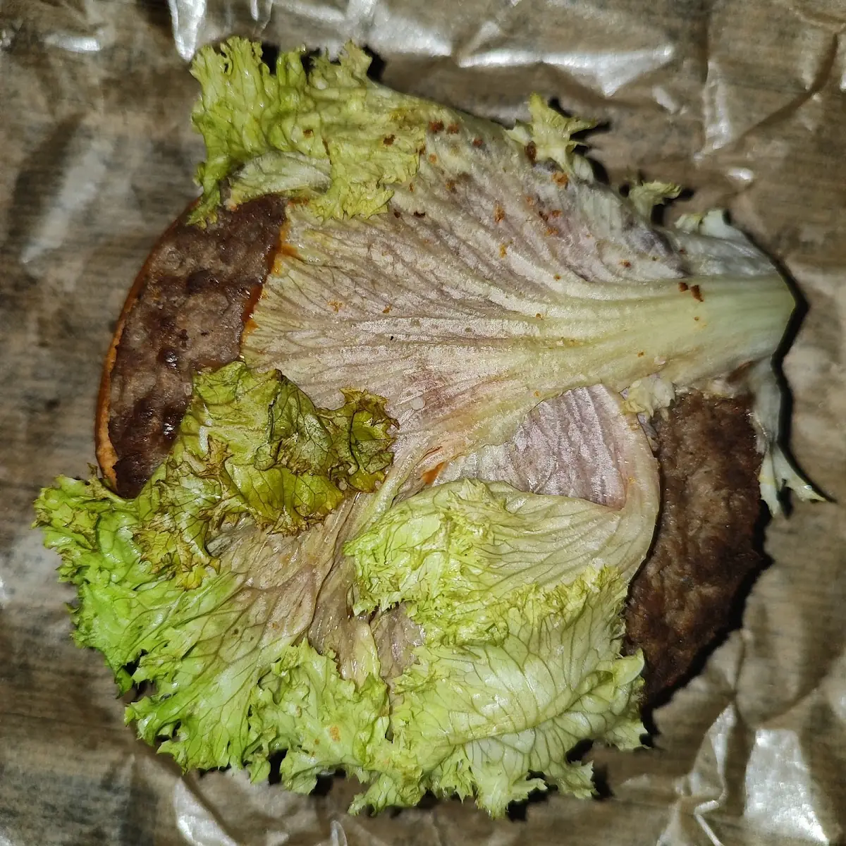 Hamburger