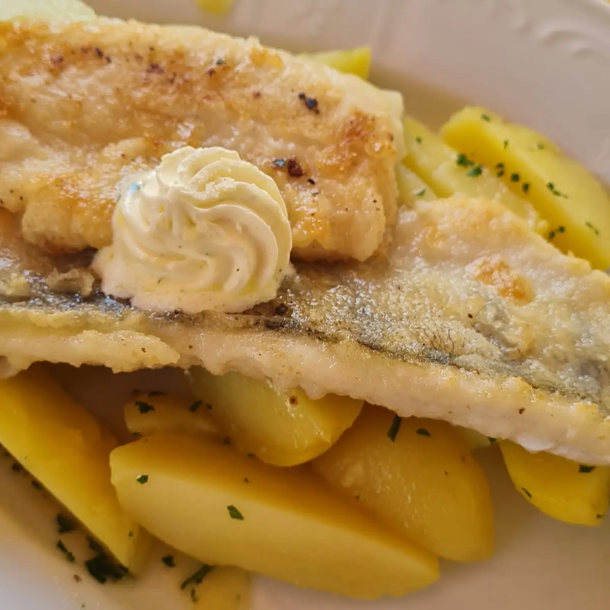 Zander Mit Petersili Kartoffeln