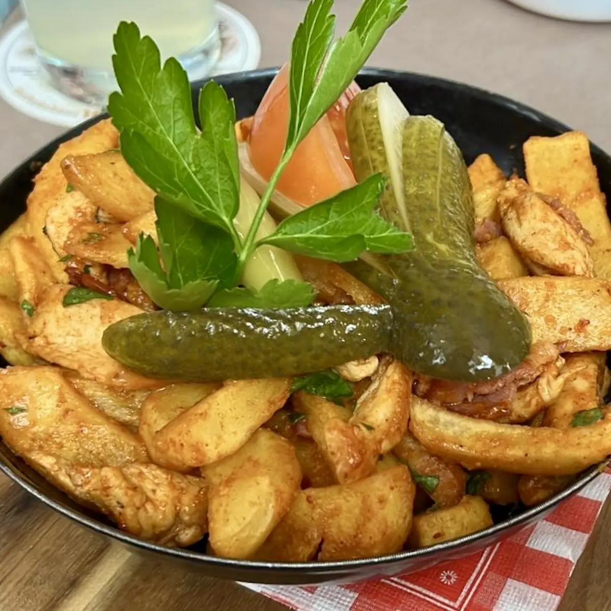 Brassoi