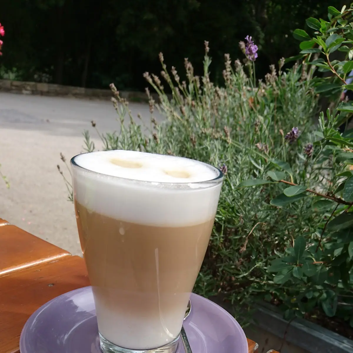 Caffee Latte Macchiato, Meierei Diglas im Türkenschanzpark