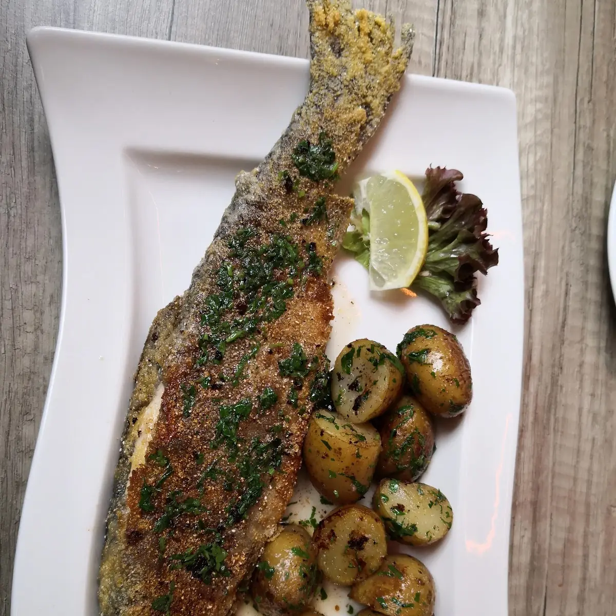 Forelle Gebraten