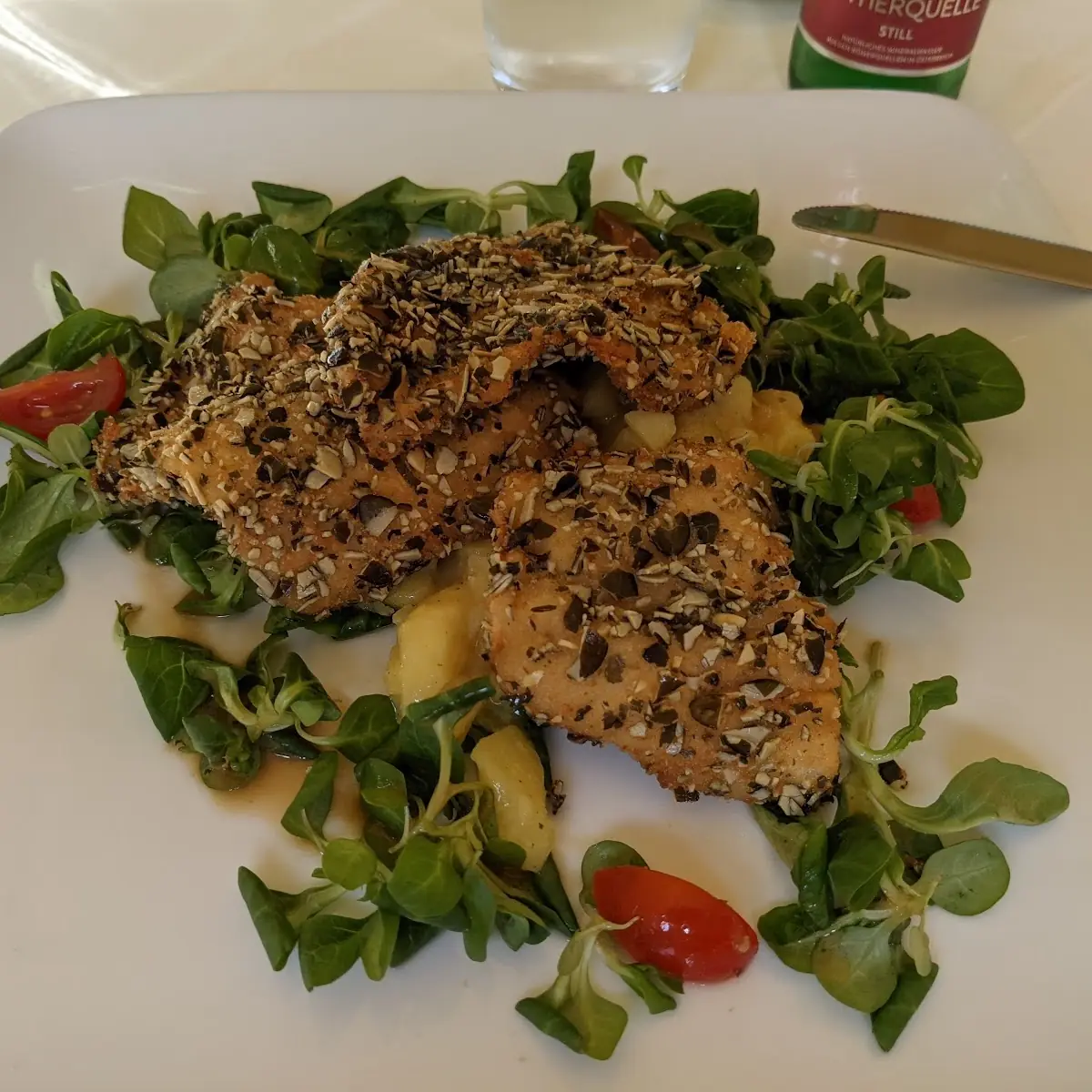 Trout Fillet with Pumpkin Seed Coating