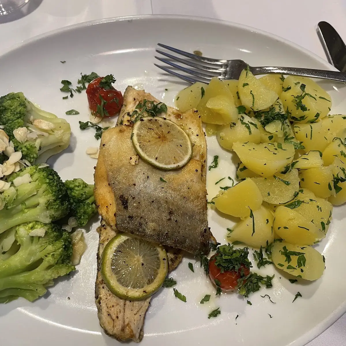 Trout
