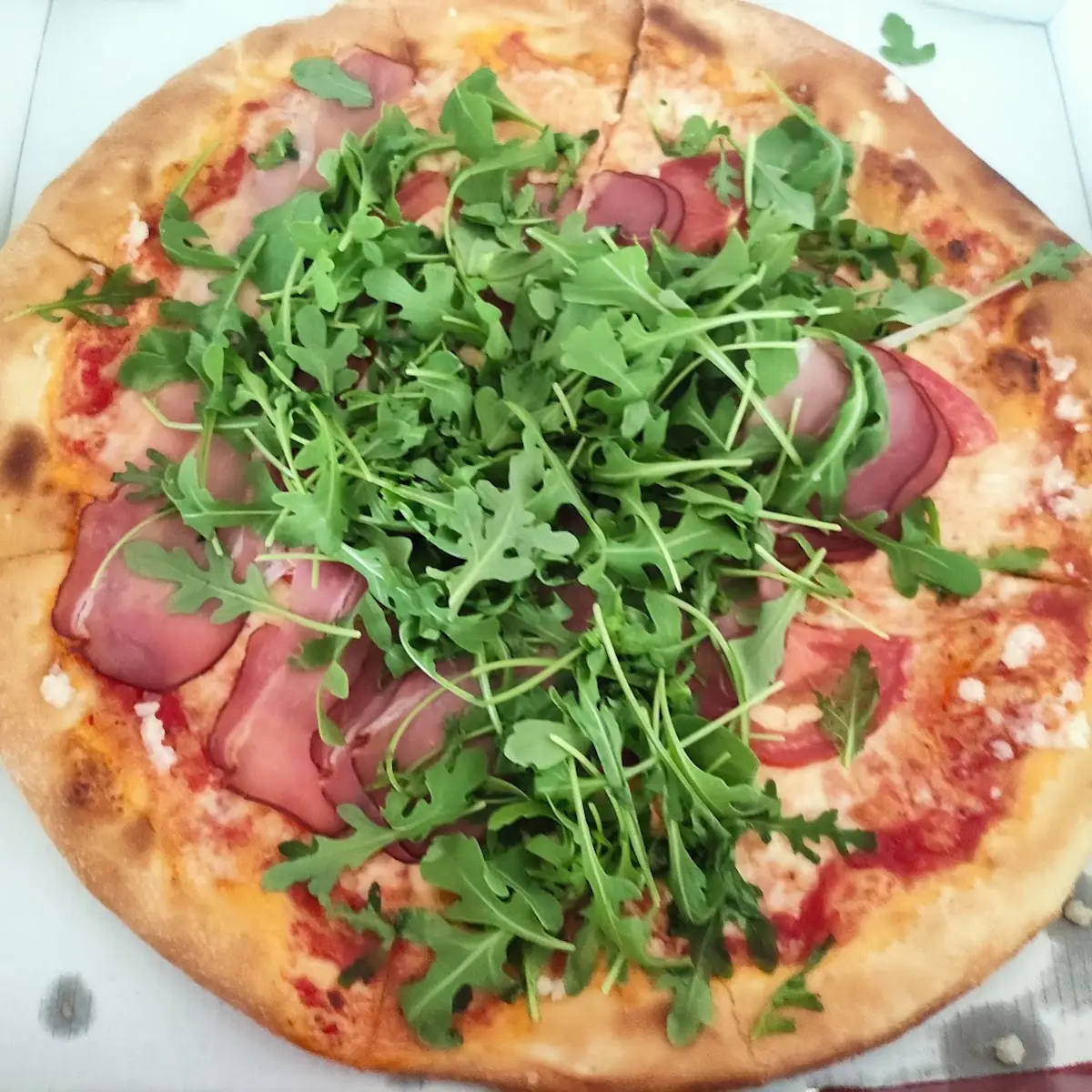Rucola