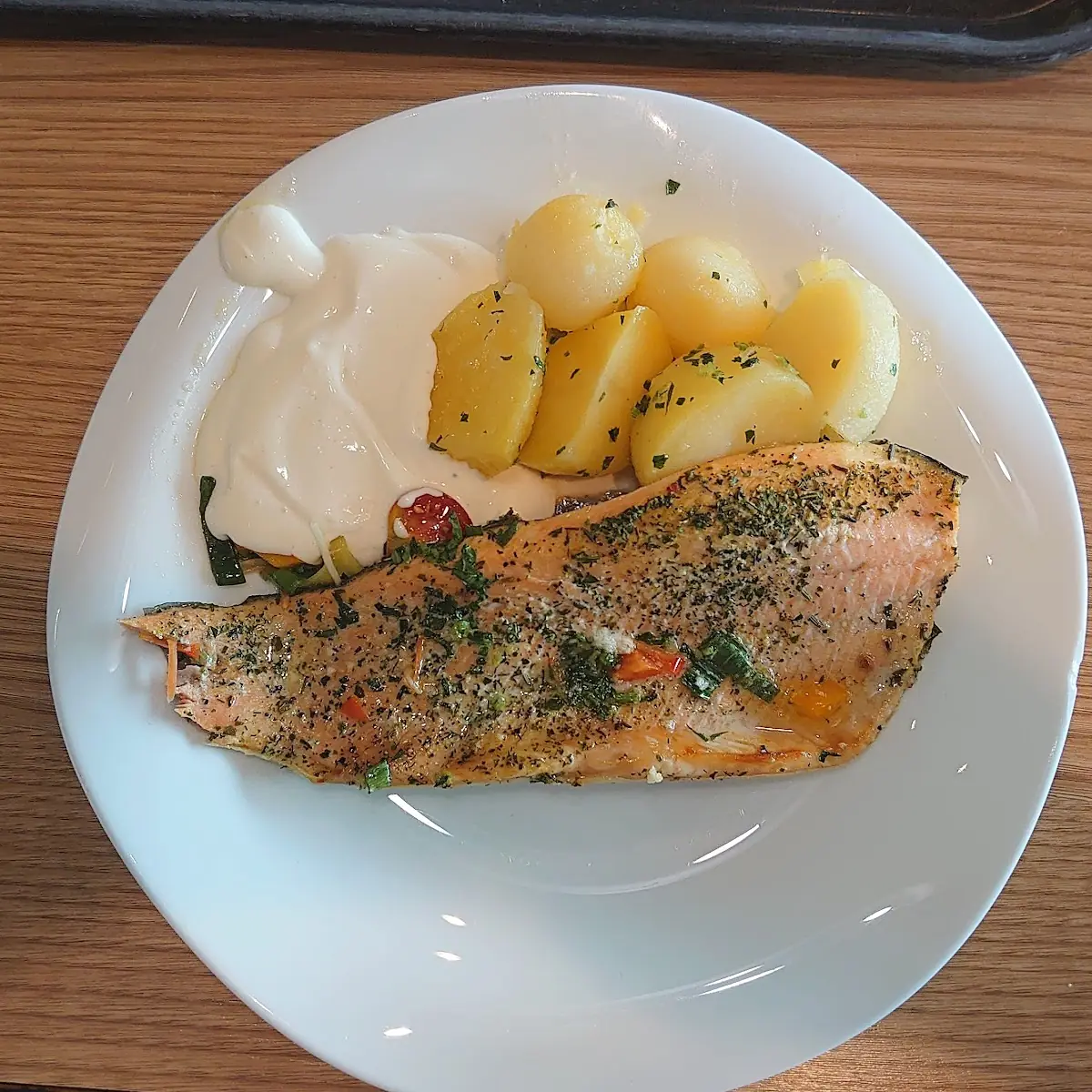 Lachsforelle