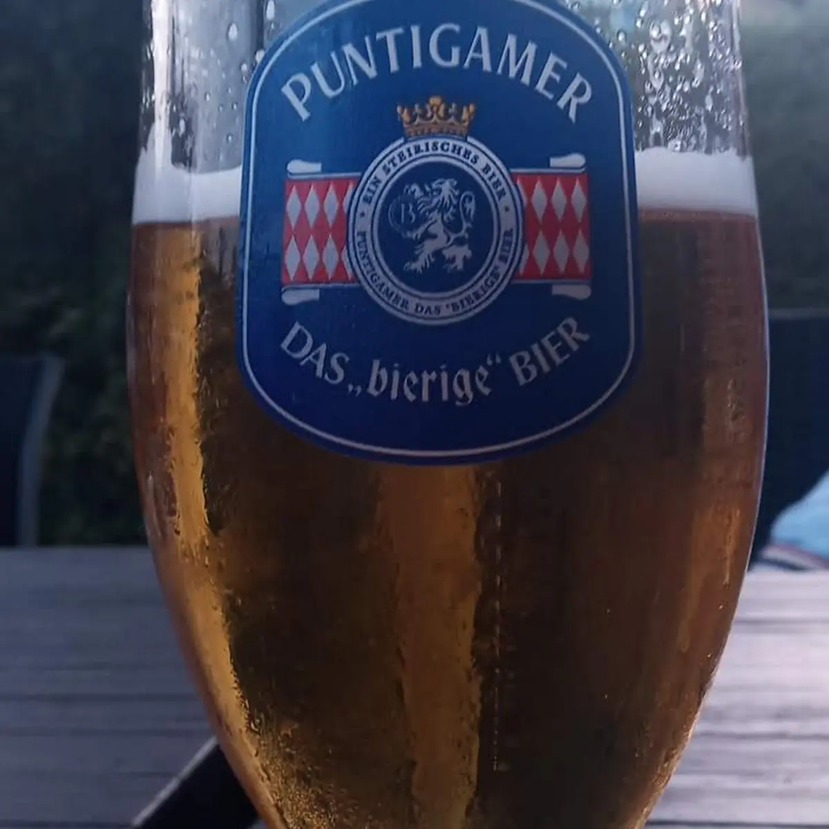 Pivo
