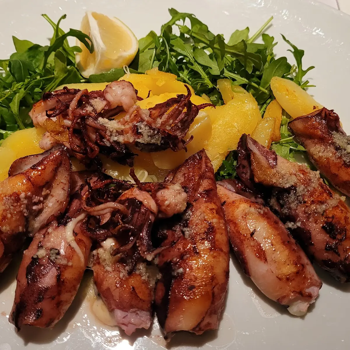 Gefüllte Calamari Wunderbar