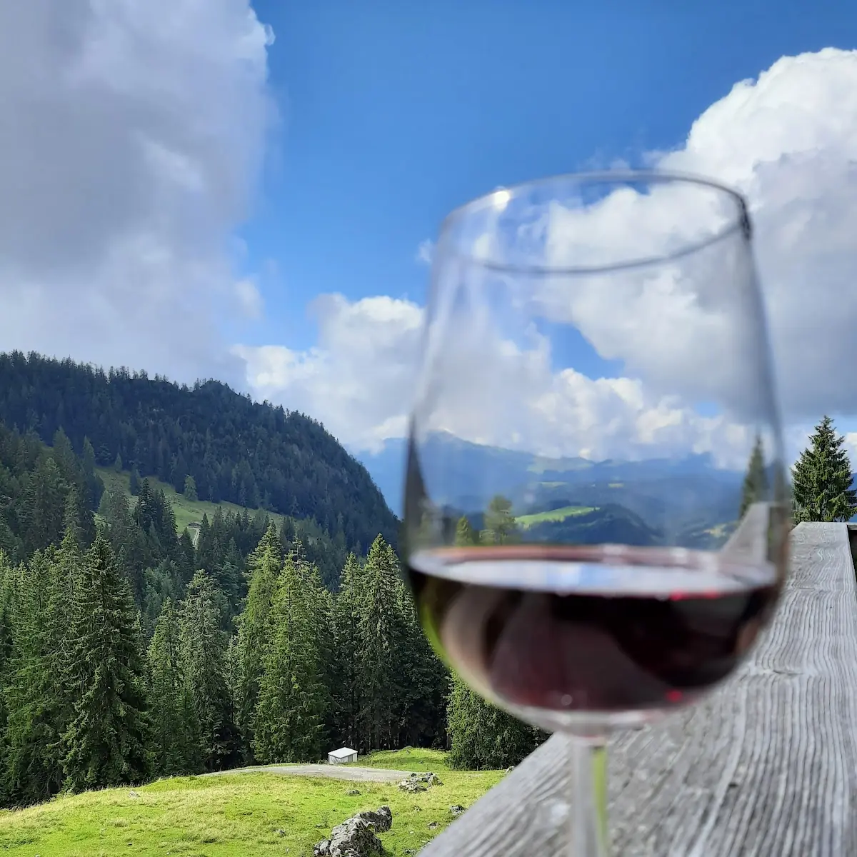 Rotwein