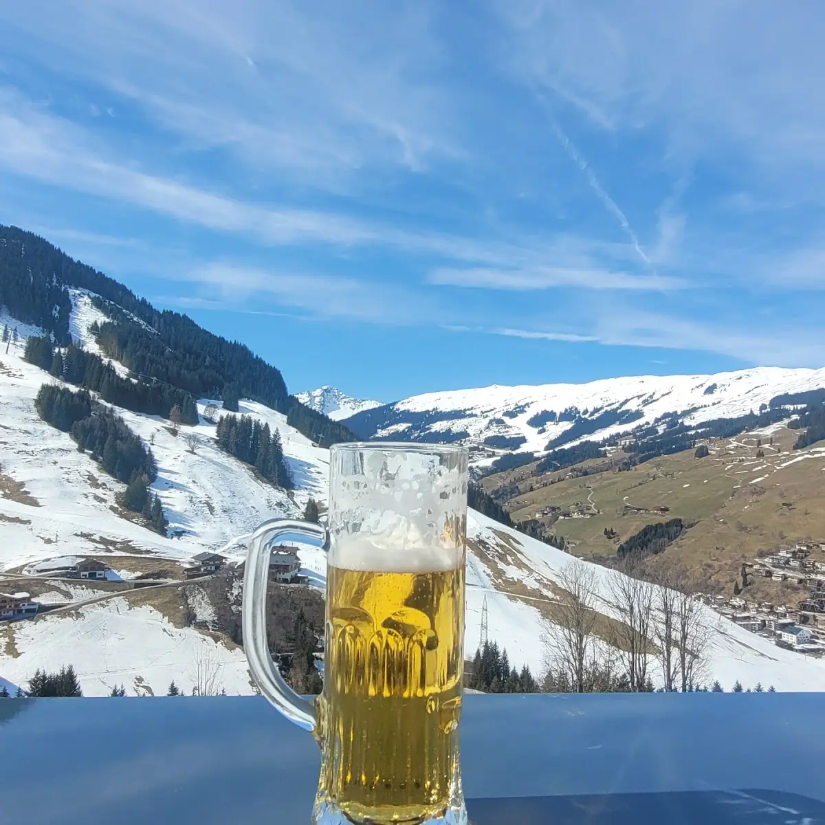 Bier