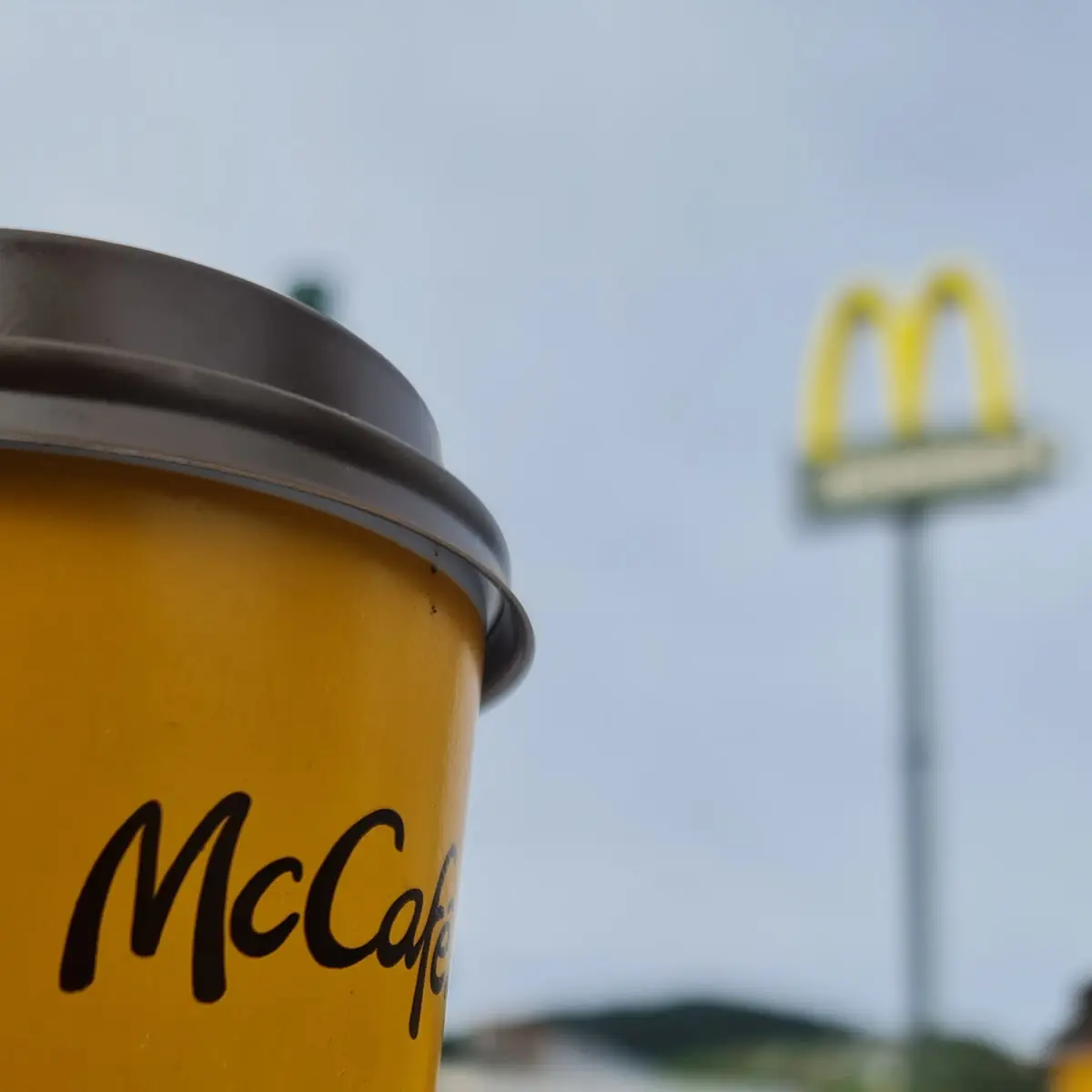 Caffeine Late Mondee Sehr Gut