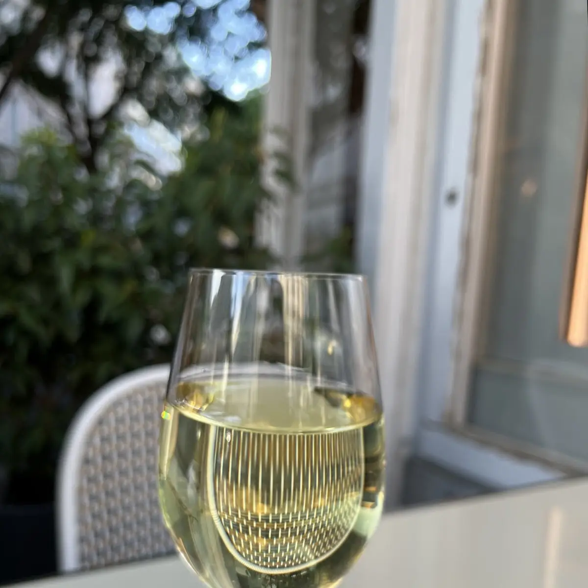 Chardonnay