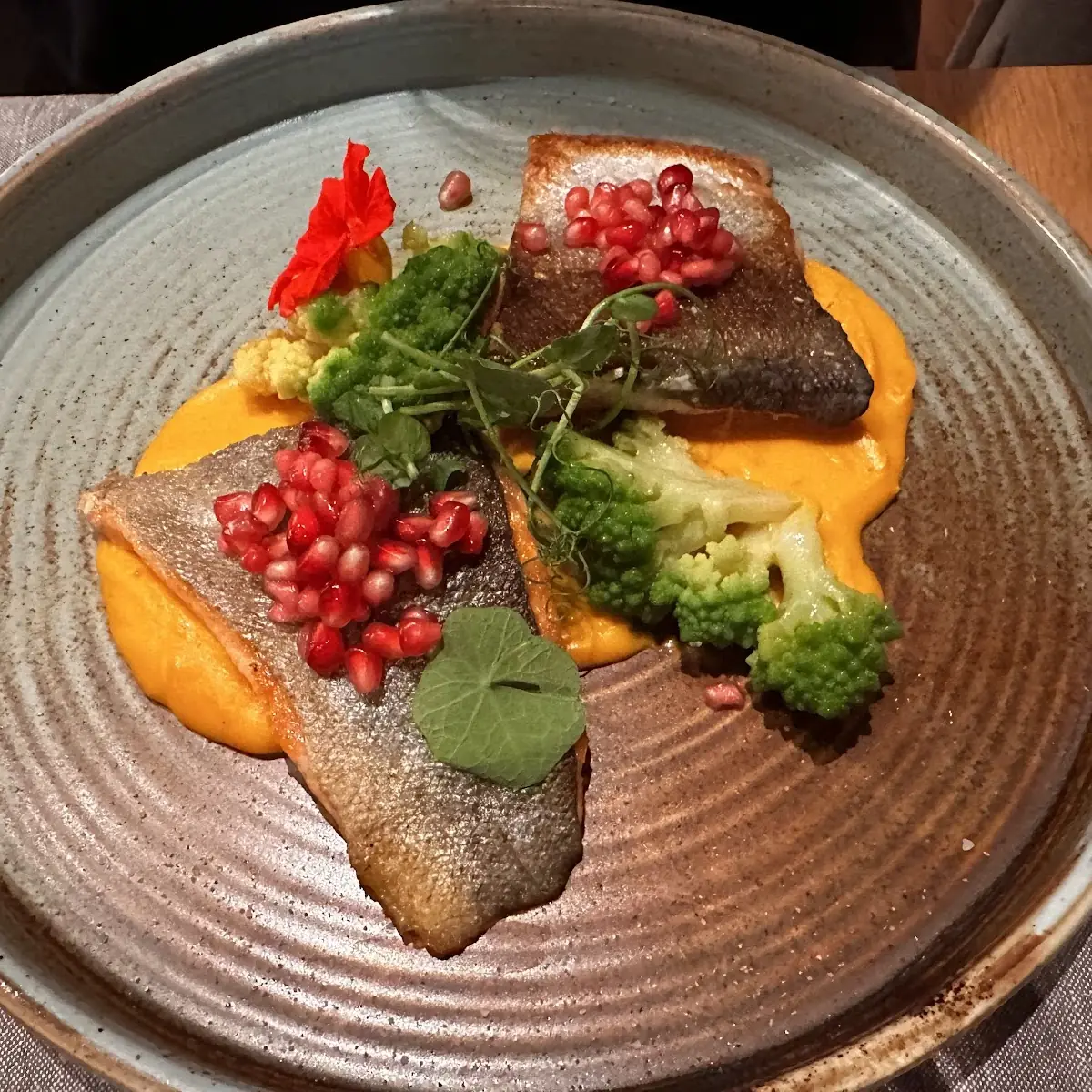Salmon