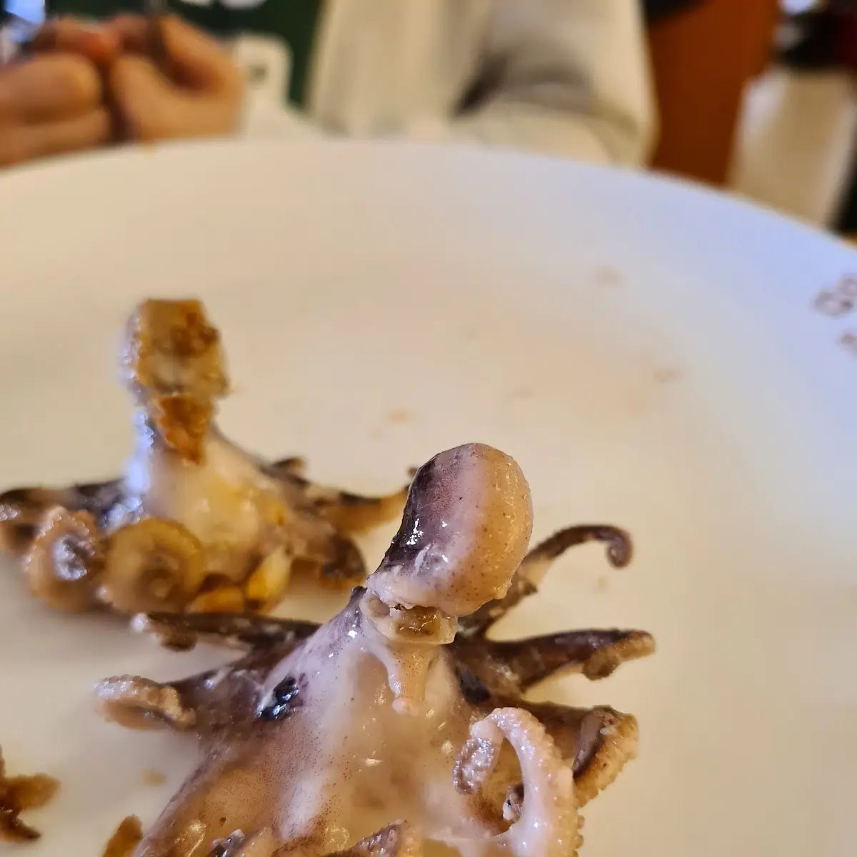 Mini Oktopus