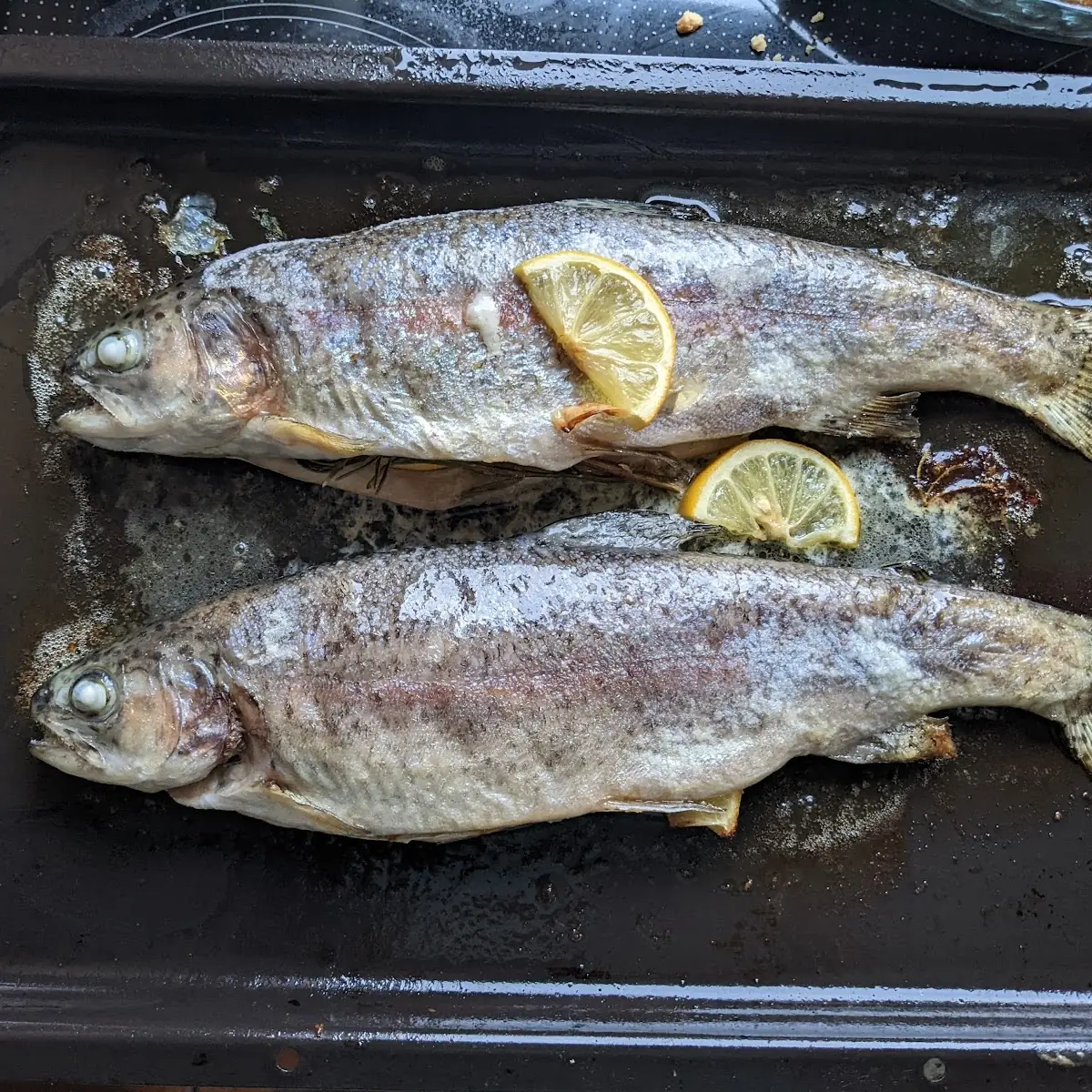 Butterfisch