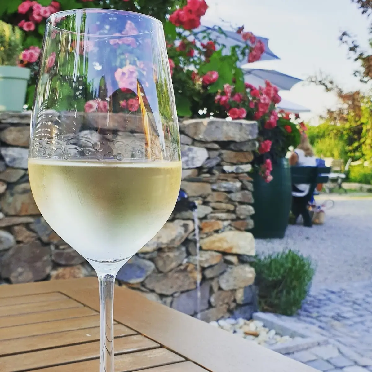 Grüner Veltiner