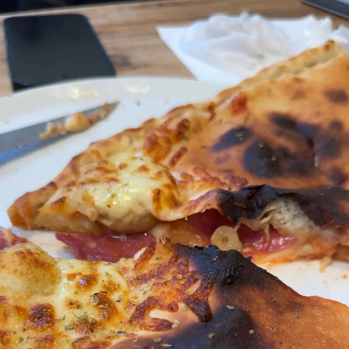 Pizza Calzone