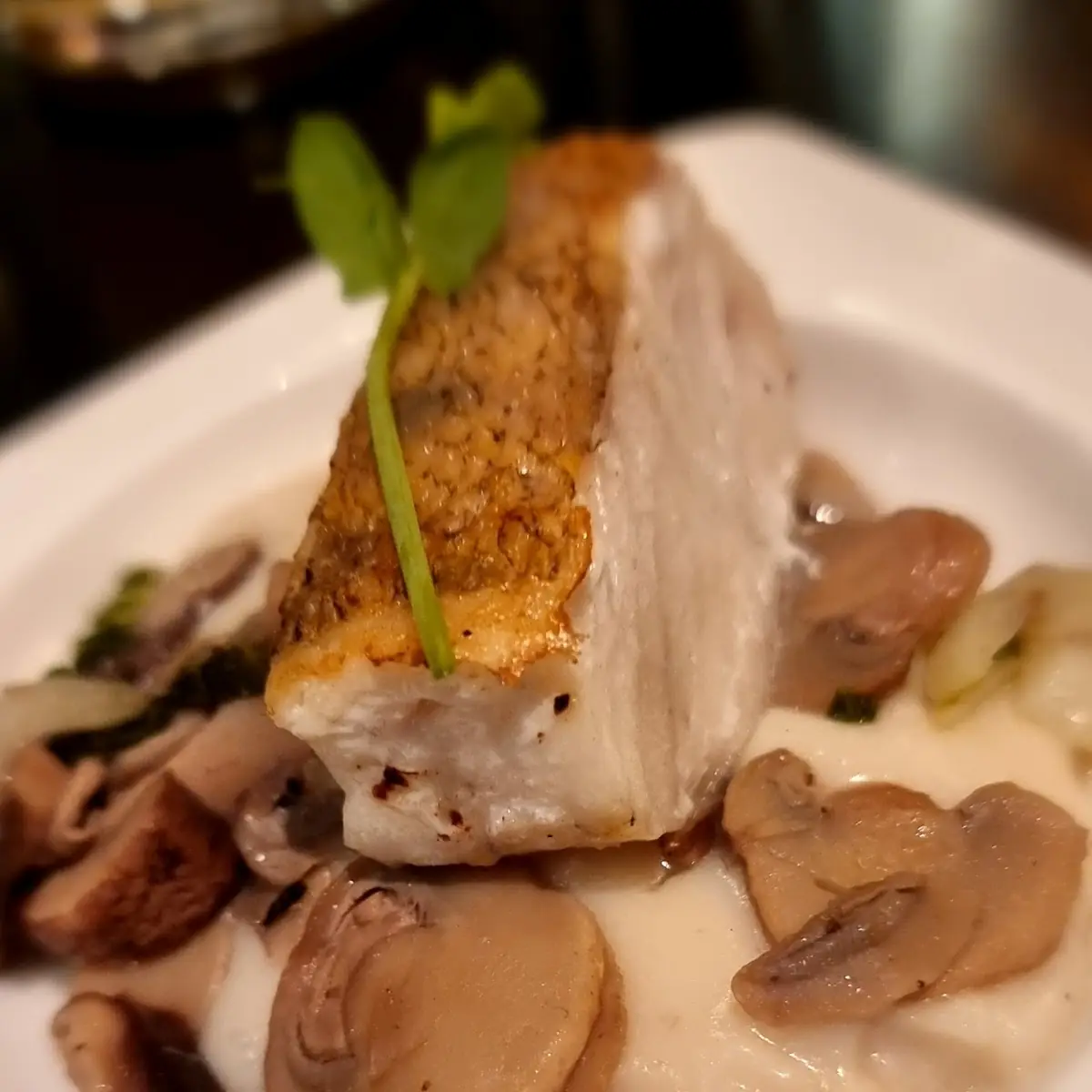 Zander Mit Reiscreme & Pak Choi-pilzgemüse