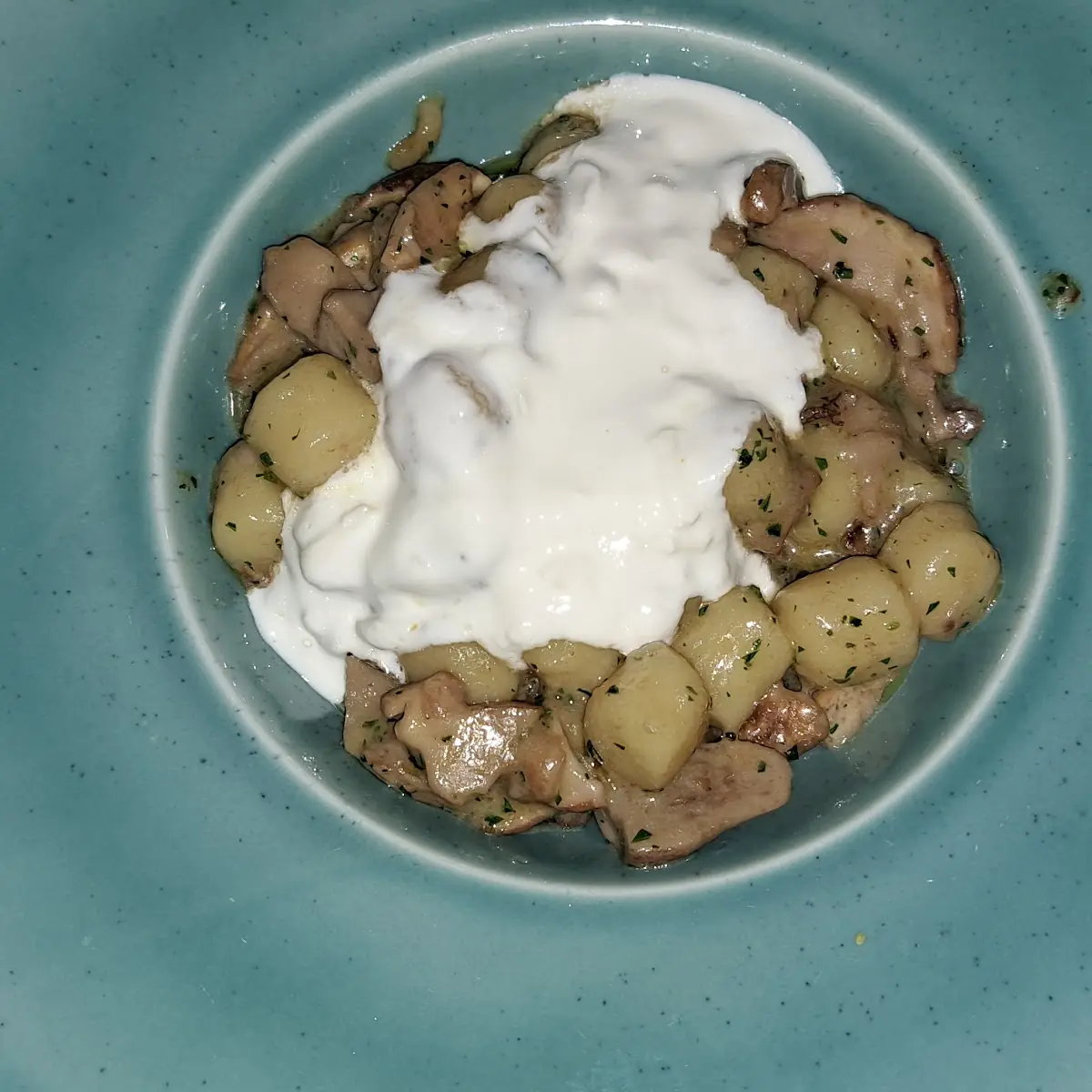 Gnocchi Mit Steinpilzen