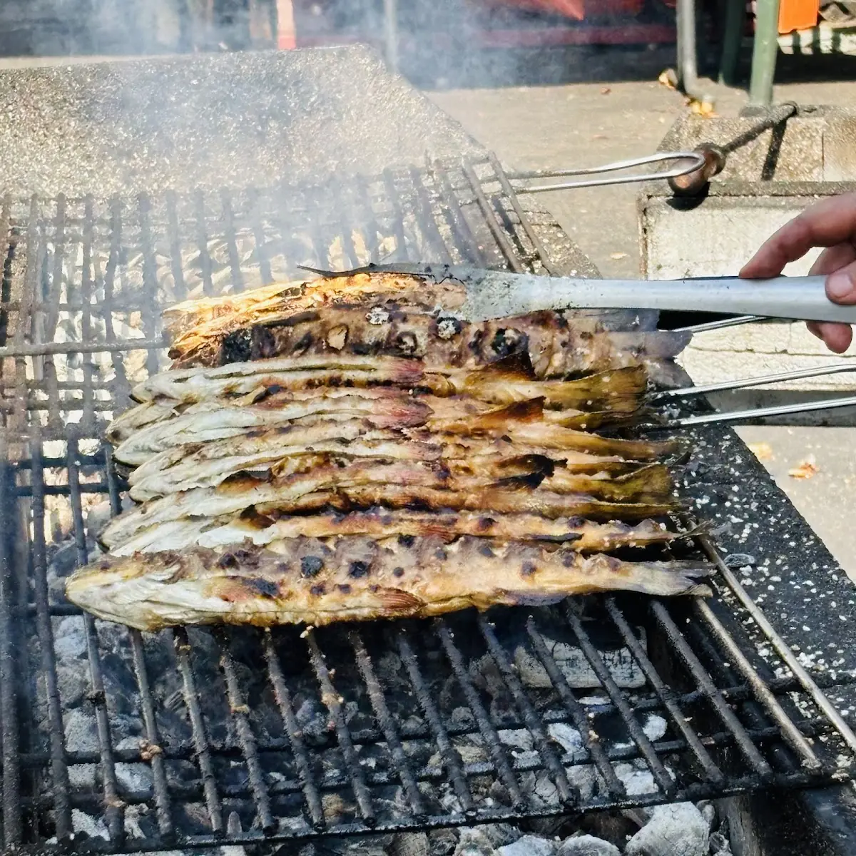 Saibling Vom Grill