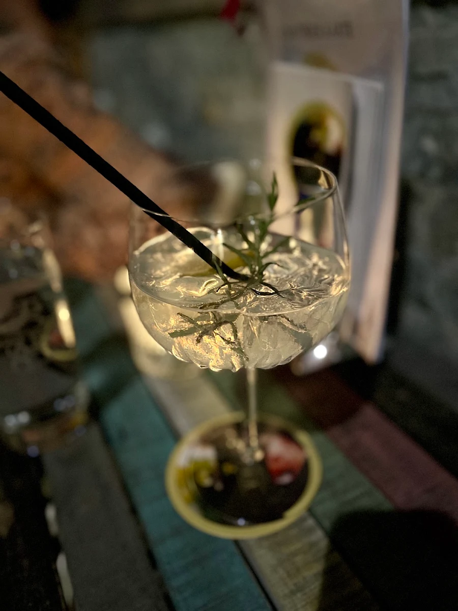 Gin Tonic - The Stin Styrian Dry Gin