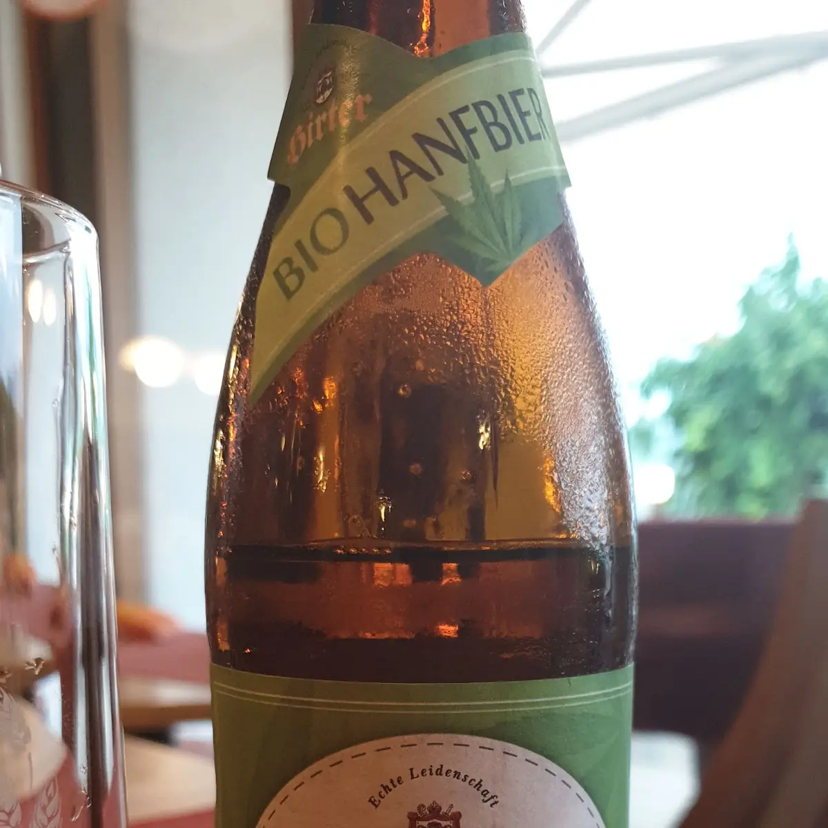 Hanf Bier
