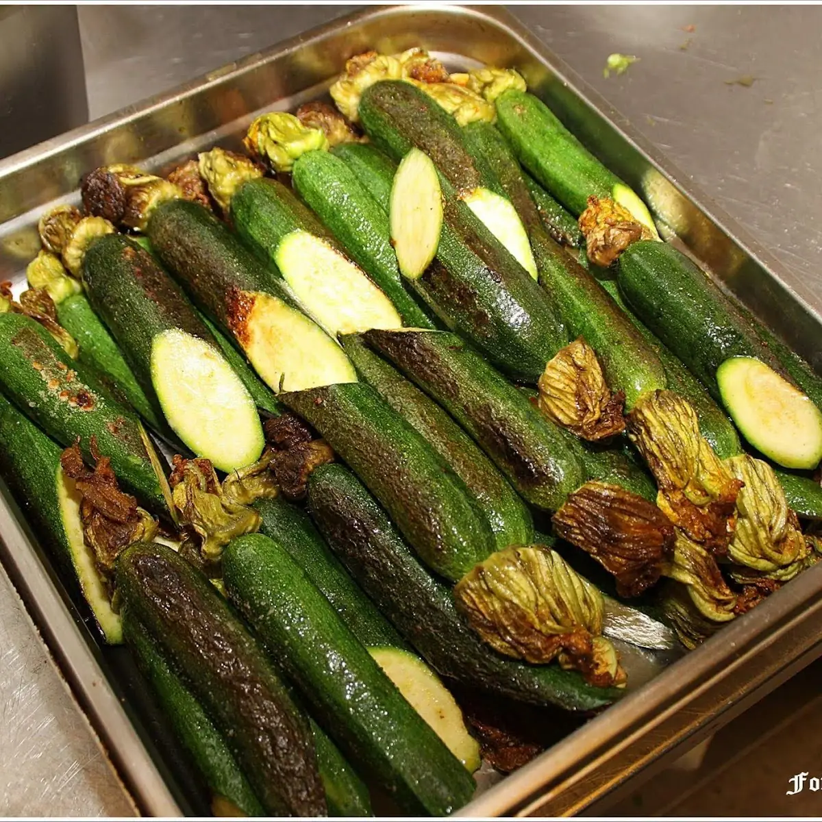 Junge Zucchini