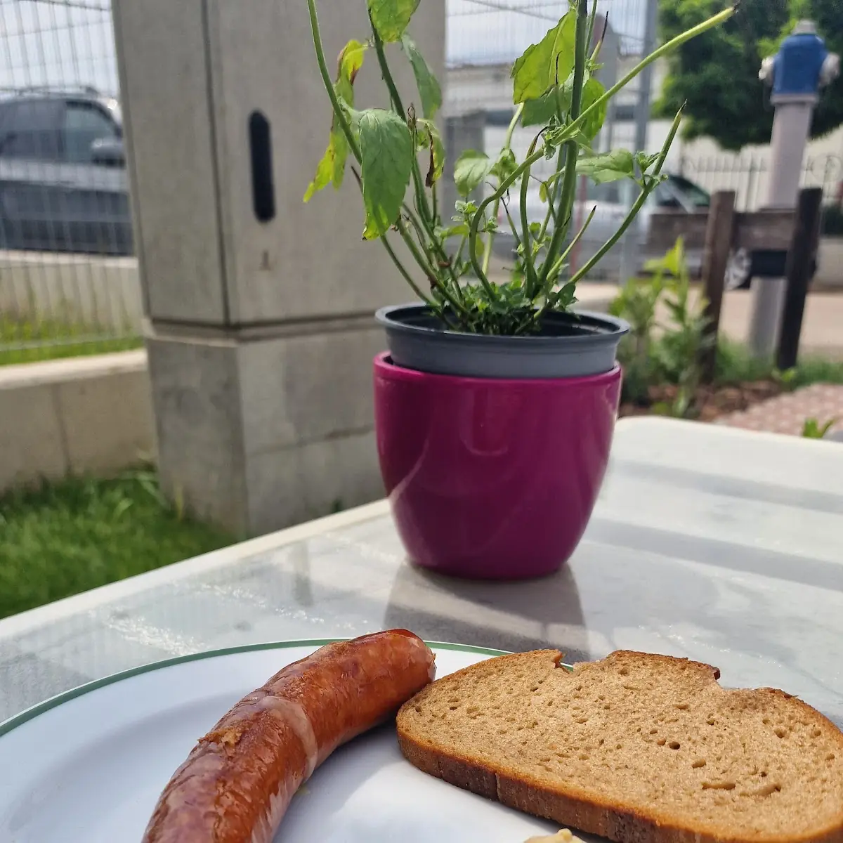 Käsekrainer Mit Brot