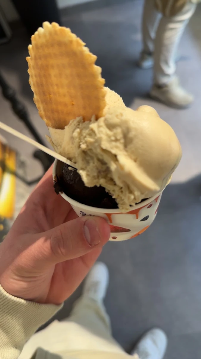 Bitterschokoladeneis Tiramisu