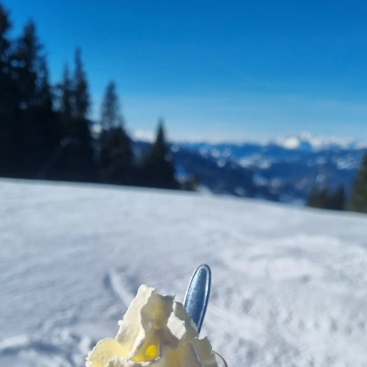 Bombardino
