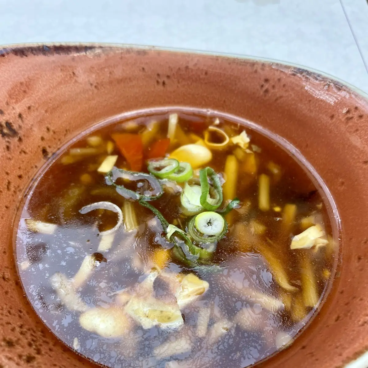 Pikant-säuerliche Suppe