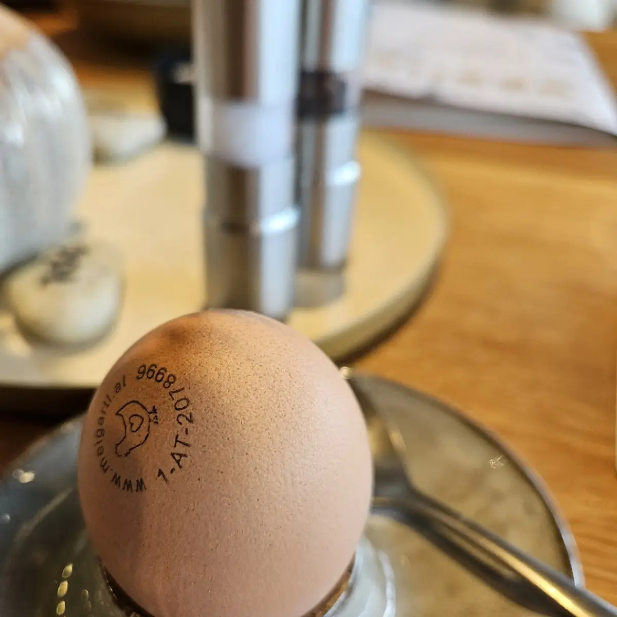 Frühstücks Ei